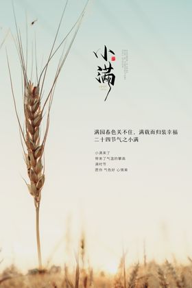 小满海报