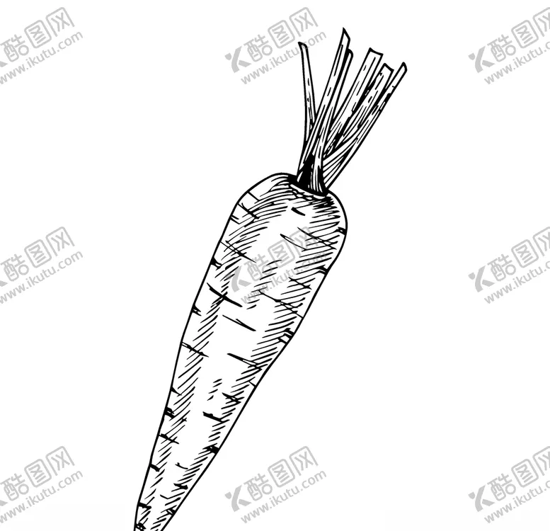 编号：63106809092348066842【酷图网】源文件下载-蔬菜