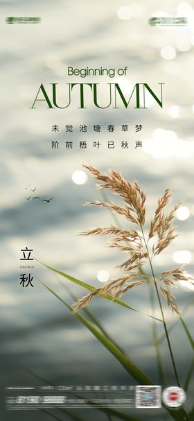 秋分凉爽立秋海报