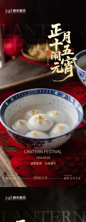 2026元宵节节日海报医美美容汤圆