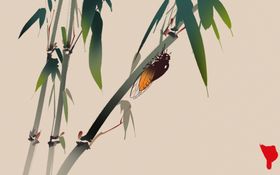 中式竹子