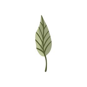 绿色枝叶免抠PNG图片