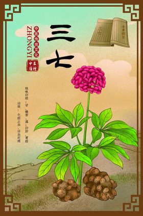 中草药药材植物海报