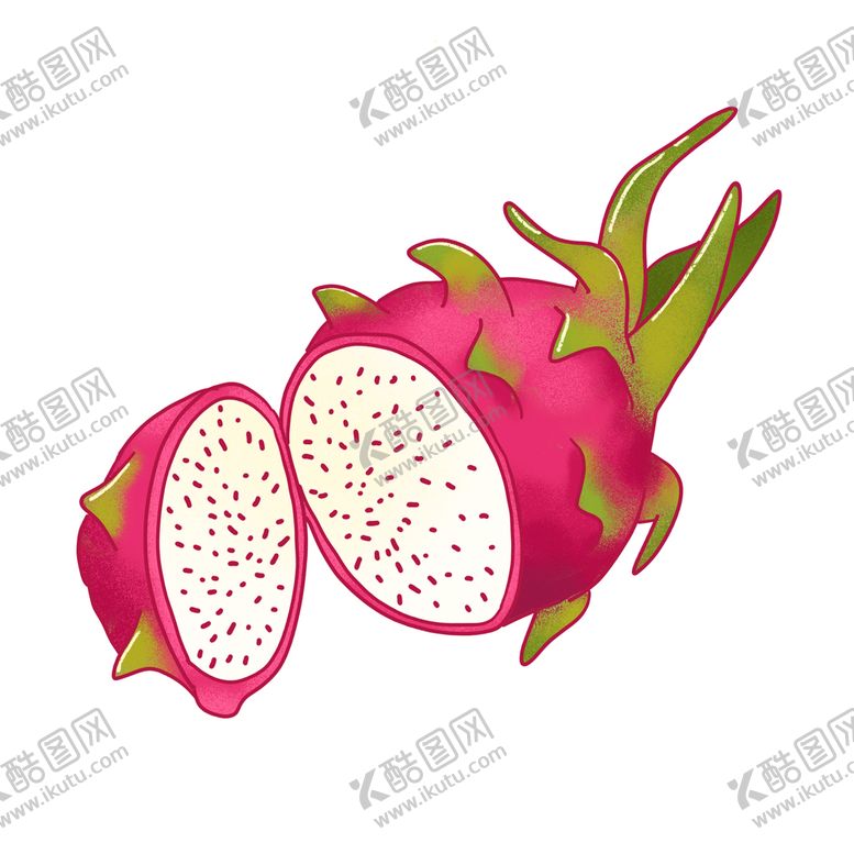 编号：06794810031803286874【酷图网】源文件下载-手绘白心火龙果