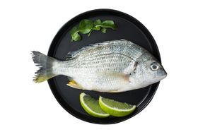 鱼海鲜食材海报背景素材
