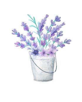 薰衣草