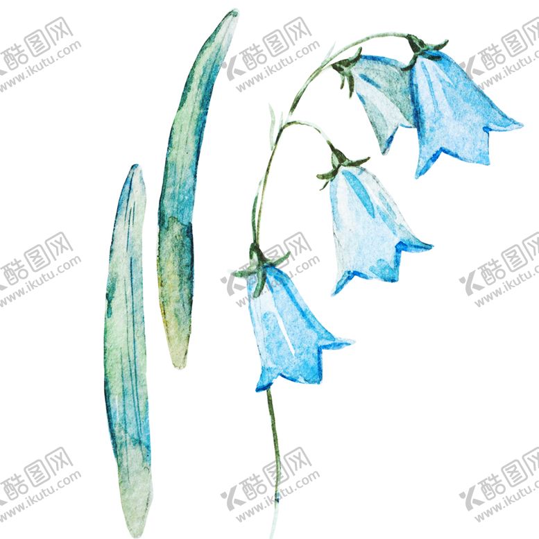 编号：90300506280133117256【酷图网】源文件下载-手绘植物