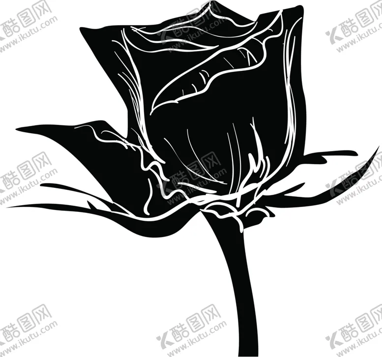 编号：39753106290734485287【酷图网】源文件下载-鲜花素材