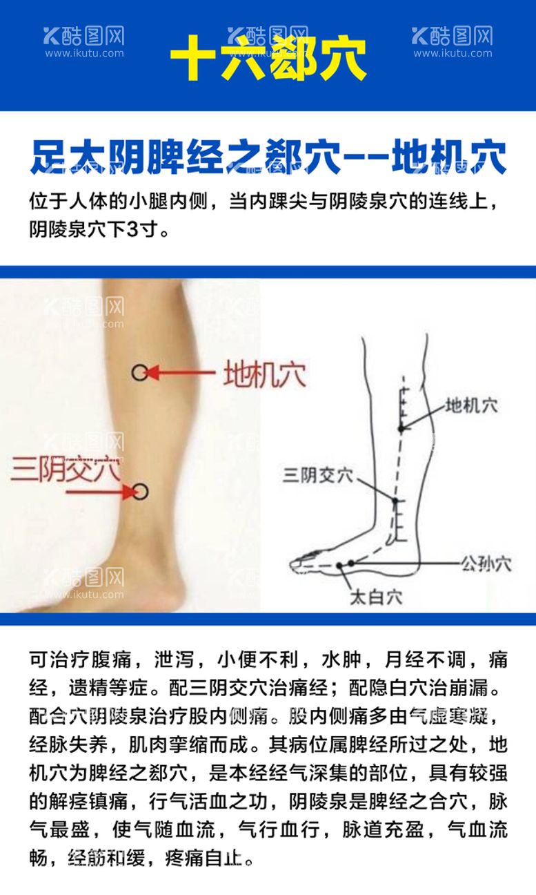 编号：66086511171406377420【酷图网】源文件下载-十六募穴