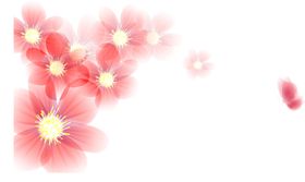 手绘粉色樱花免扣素材图片十里红