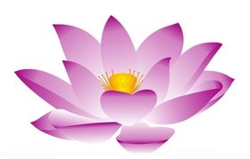 莲花上贰