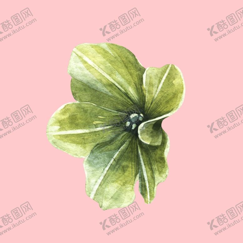 编号：18138706300958331366【酷图网】源文件下载-水彩植物