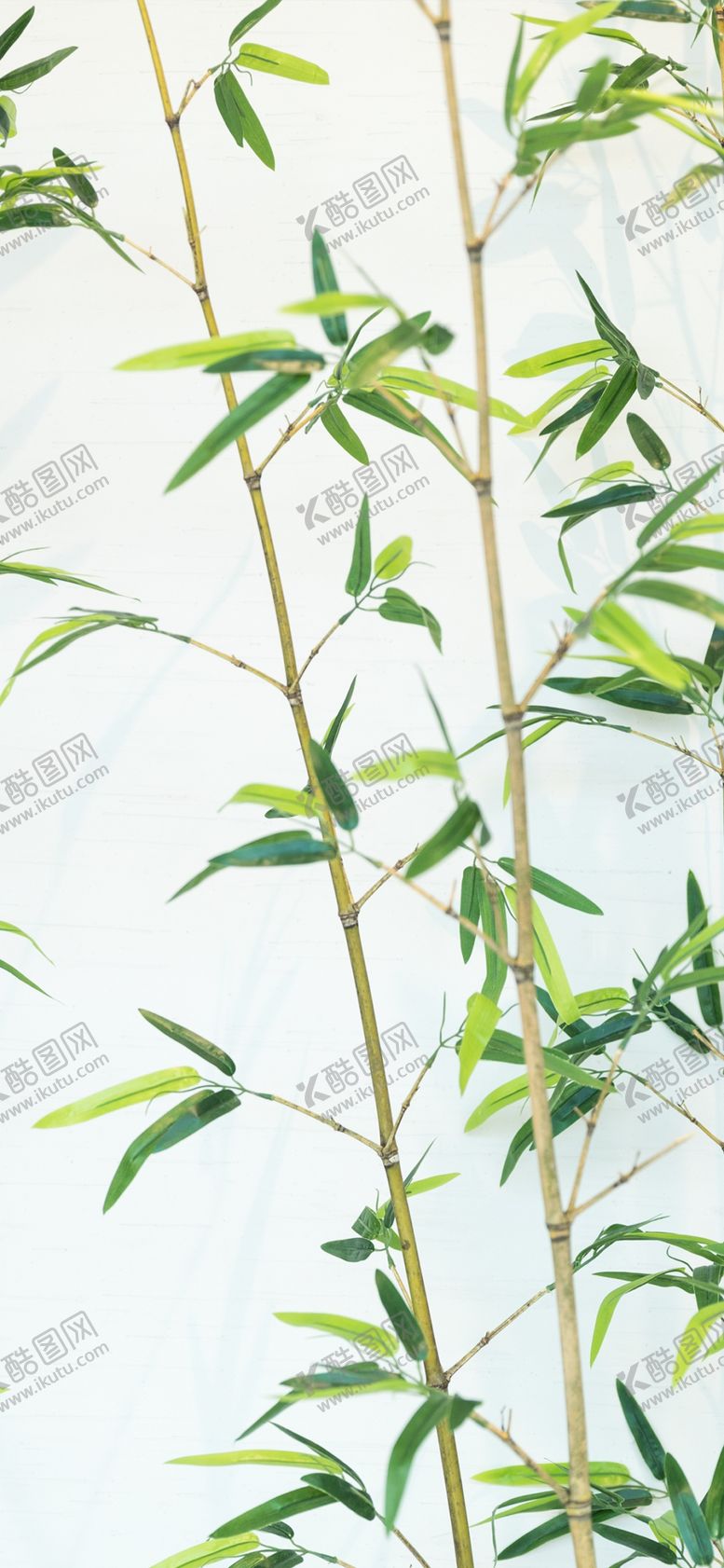 编号：79842706162329555892【酷图网】源文件下载-手机壁纸