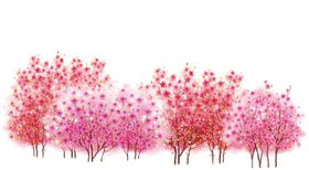 樱花装饰素材