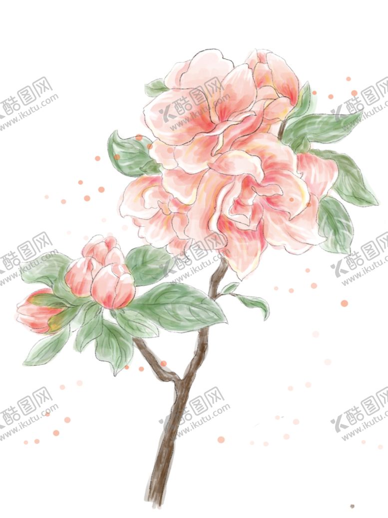 编号：96051709231428595916【酷图网】源文件下载-杜鹃花