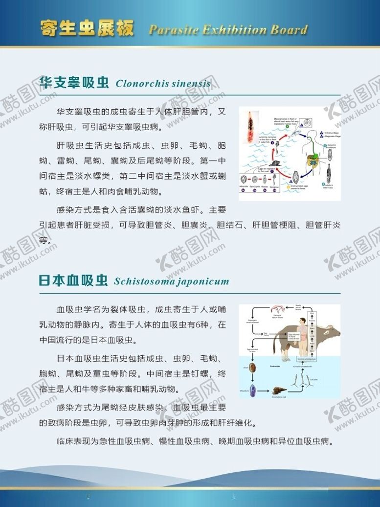 编号：41835012121426281649【酷图网】源文件下载-寄生虫展板