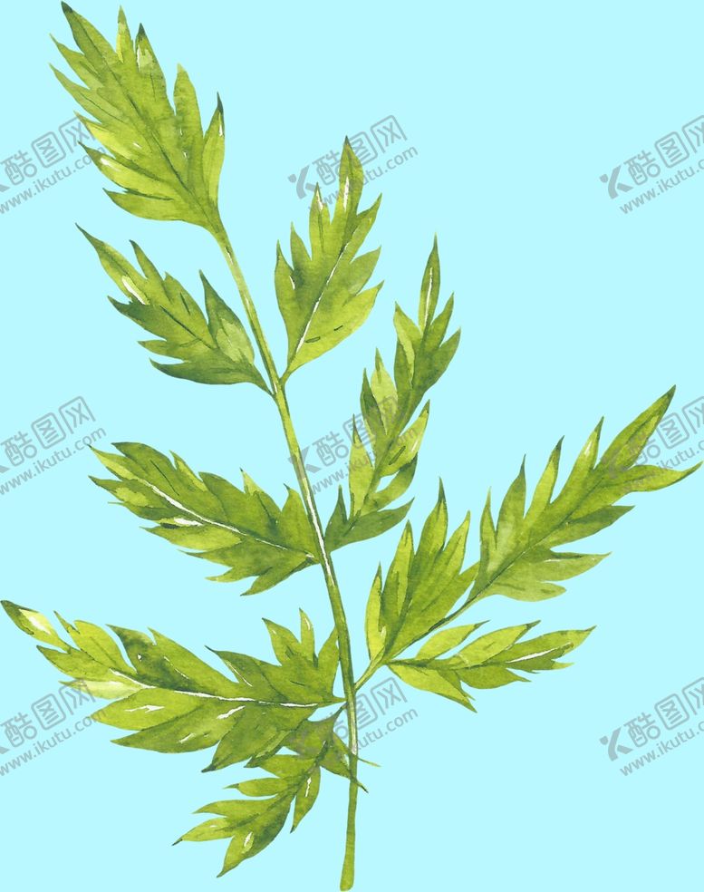 编号：59203007140840214491【酷图网】源文件下载-花卉树叶