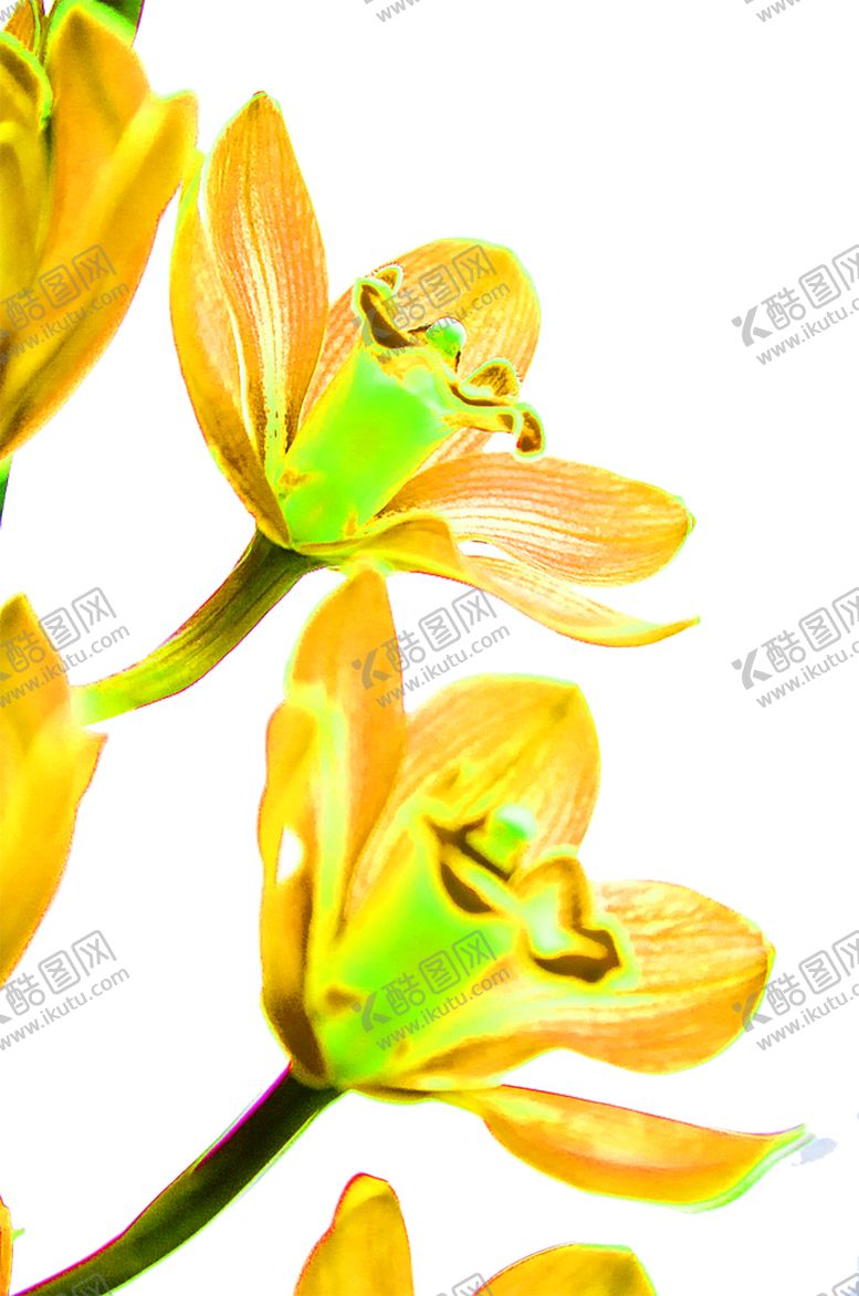 编号：45095907030913378693【酷图网】源文件下载-花素材