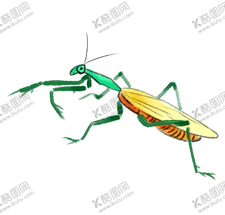编号：28804704081138295807【酷图网】源文件下载-卡通手绘蚱蜢