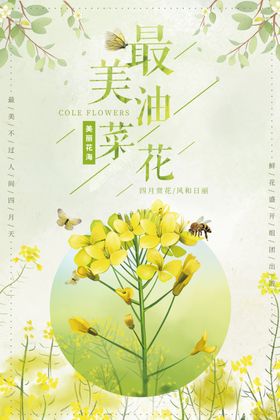 唯美最美油菜花宣传海报