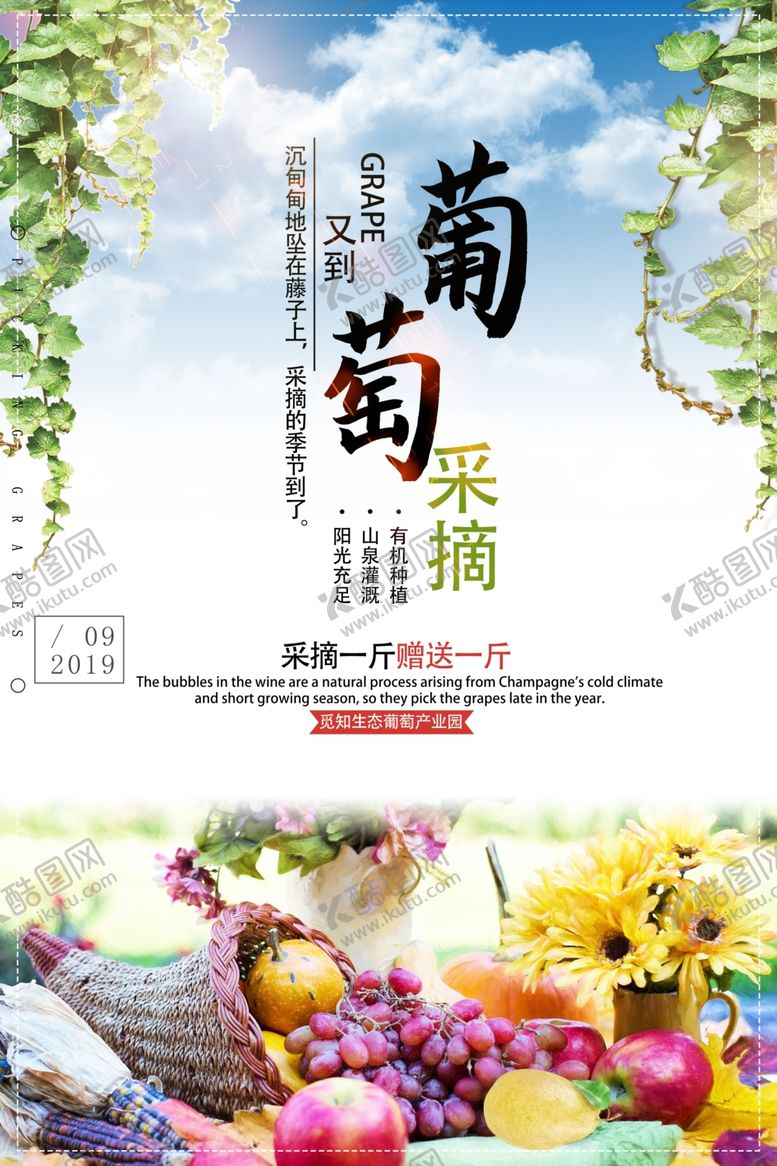 编号：90126710050604226395【酷图网】源文件下载-葡萄