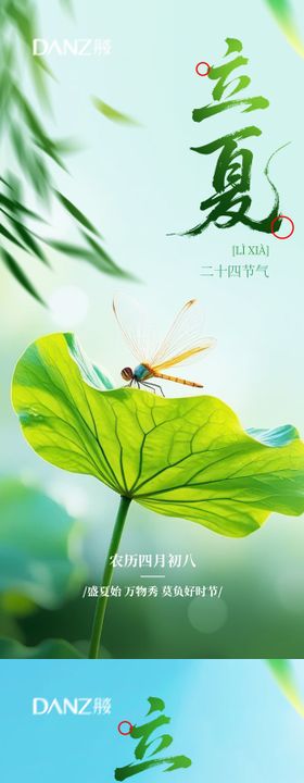 立夏夏至海报