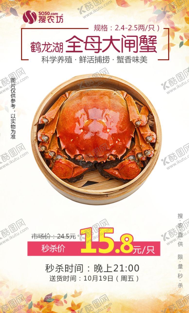编号：29305007081310286810【酷图网】源文件下载-鹤龙湖全母大闸蟹1只秒杀
