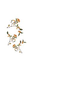 6号信封