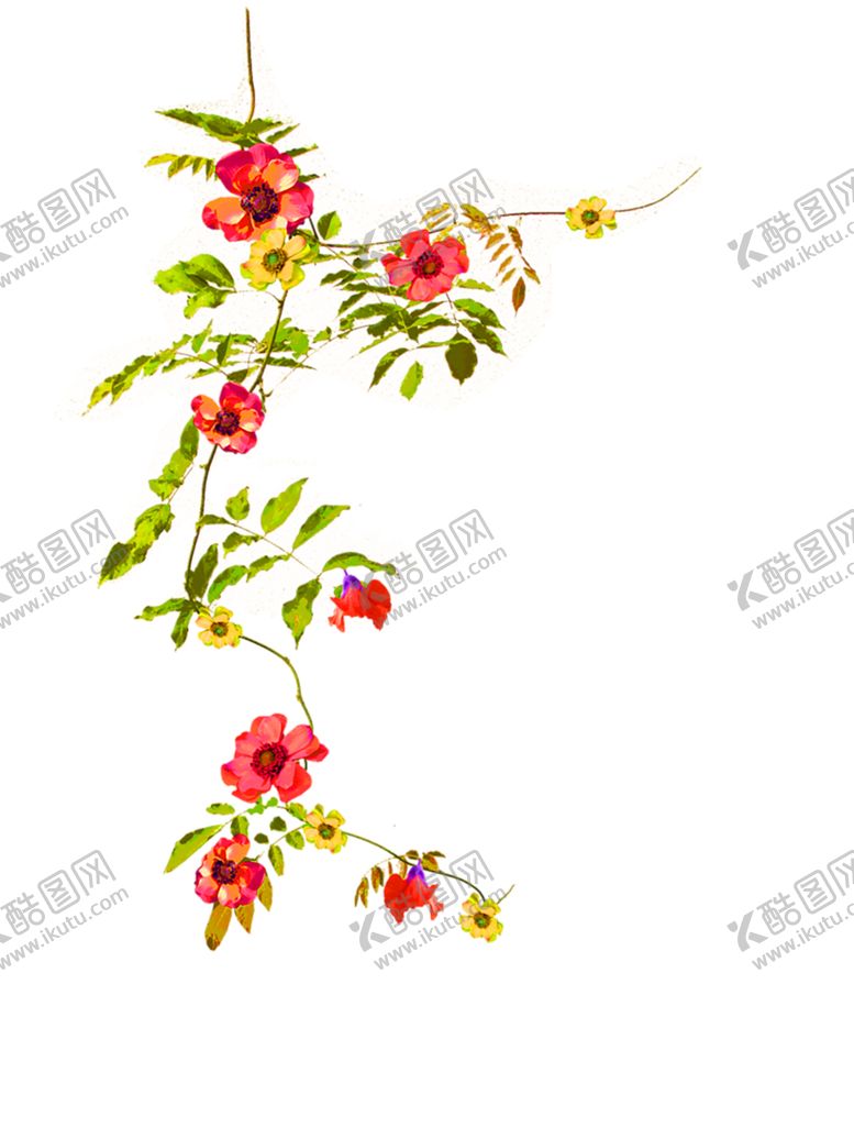 编号：77904207130500412027【酷图网】源文件下载-鲜花装饰