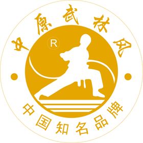 中原武林风