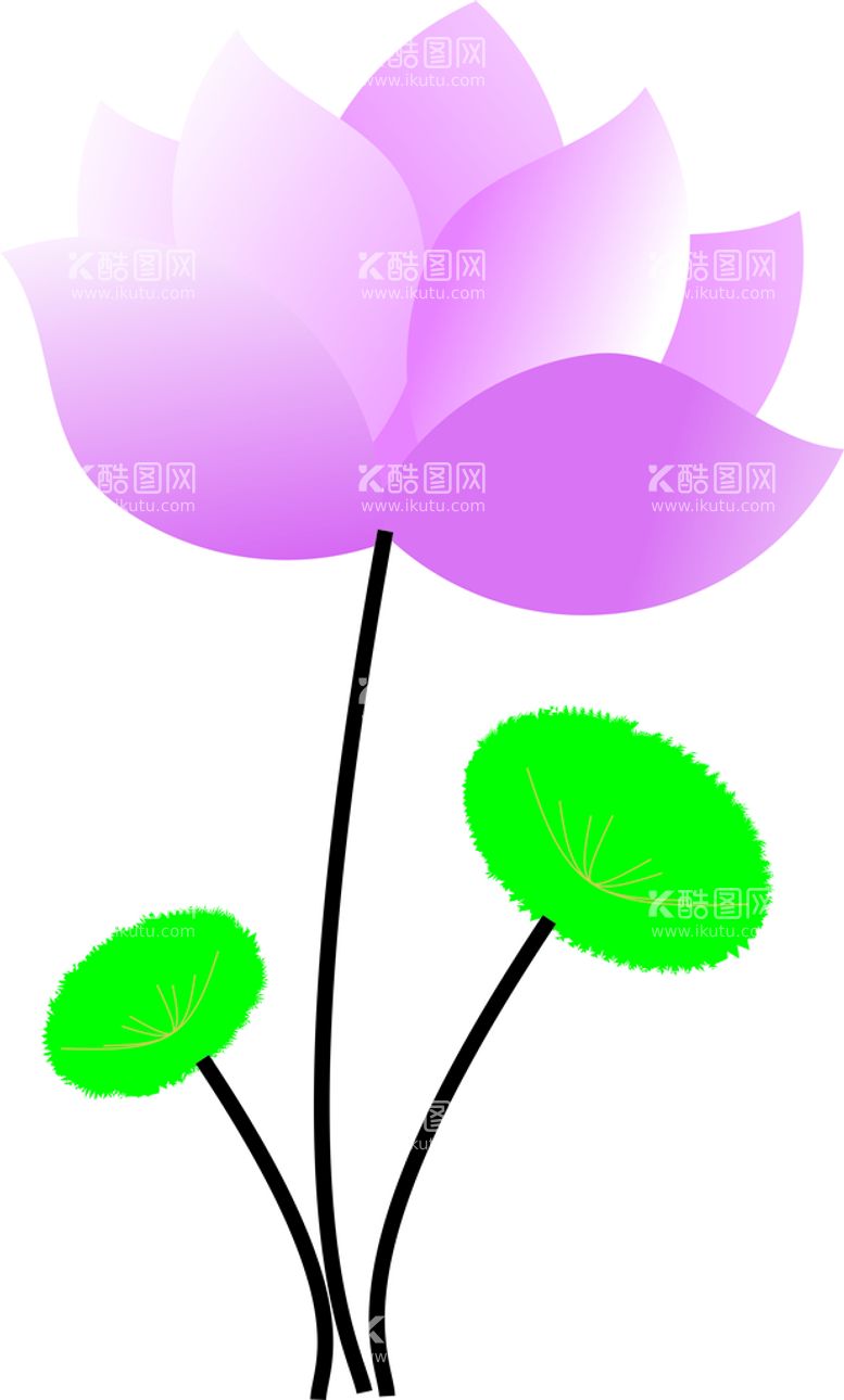 编号：54941011240353562910【酷图网】源文件下载-荷花
