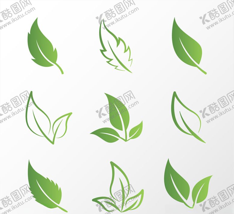编号：55663509190902151875【酷图网】源文件下载-矢量叶子元素
