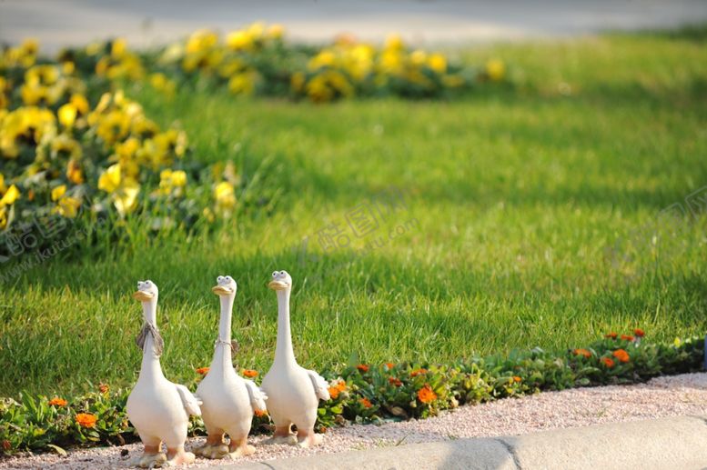 编号：28984309281643362099【酷图网】源文件下载-摄影背景墙