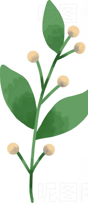 鲜花
