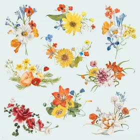 手绘多彩花卉植物集合