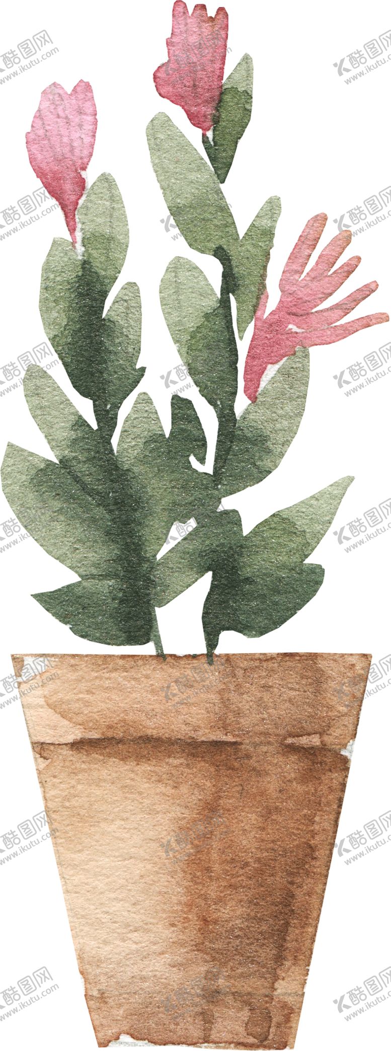 编号：42245609230337393663【酷图网】源文件下载-手绘盆栽植物