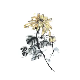 国画菊花