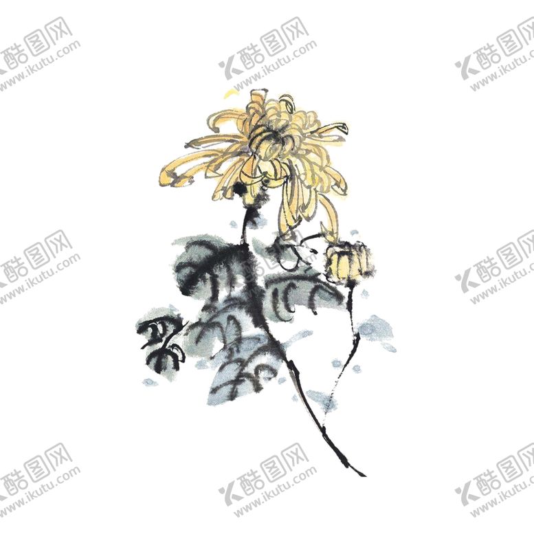 编号：99361110121702129207【酷图网】源文件下载-国画菊花