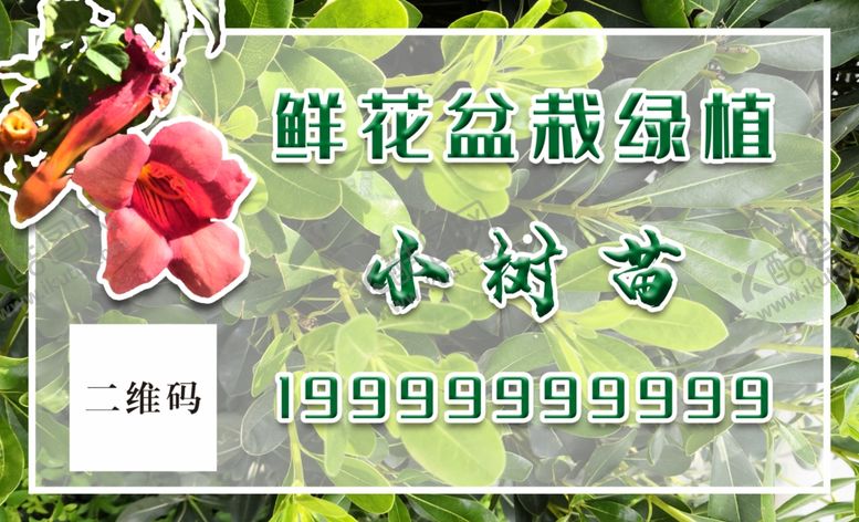 编号：37978609291750157834【酷图网】源文件下载-园艺盆栽鲜花绿植名片