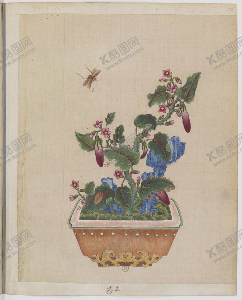 编号：58433204070928121198【酷图网】源文件下载-盆景花鸟