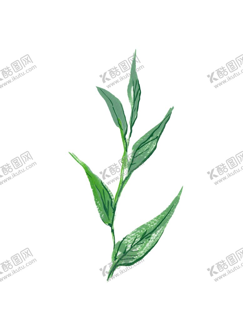 编号：66681710022210385575【酷图网】源文件下载-水粉花卉素材花型