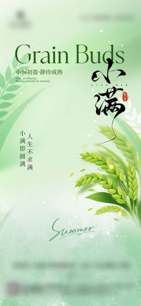 餐饮美食小满节日海报