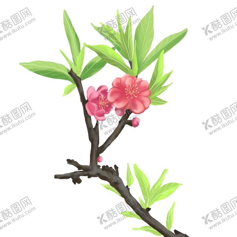 编号：91283401311504472648【酷图网】源文件下载-植物类桃花春暖花开手绘
