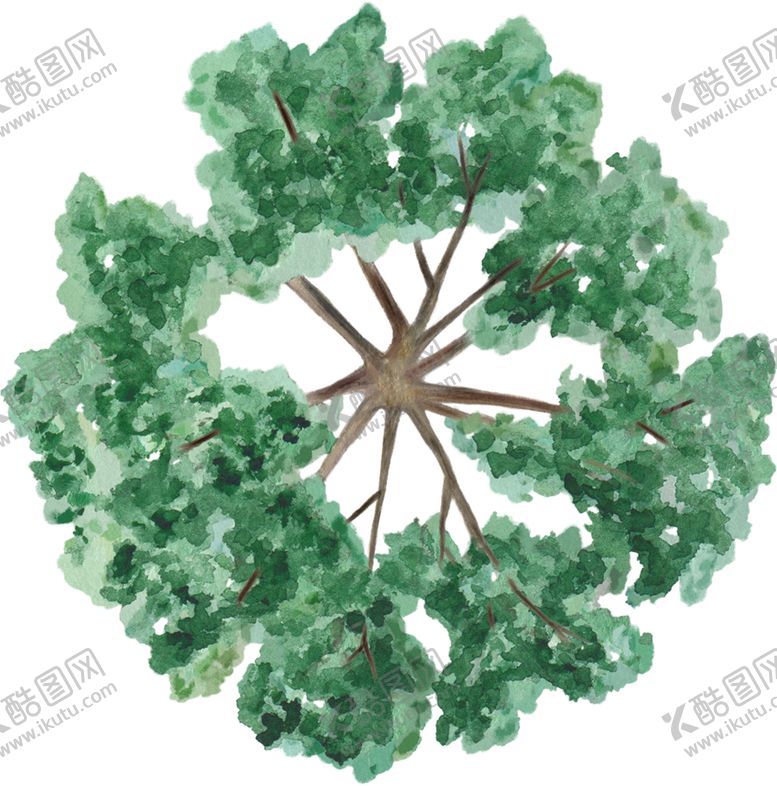 编号：53964905151053017340【酷图网】源文件下载-手绘植物