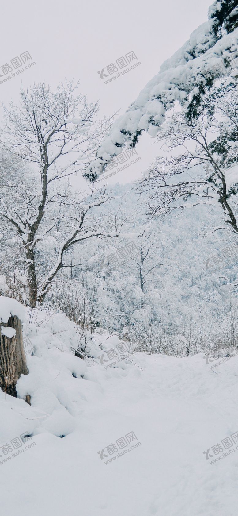 编号：69558109211117563746【酷图网】源文件下载-手机壁纸