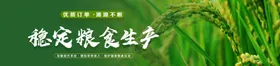 农业企业文化展板油菜花辣椒