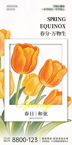 春分节气花朵海报