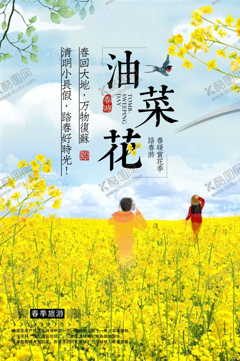 编号：99022010251127381290【酷图网】源文件下载-浪漫油菜花赏花宣传海报