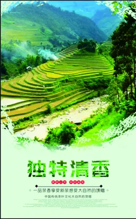 茶文化乡自然叶