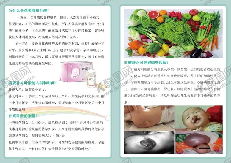 编号：43794202180254226835【酷图网】源文件下载-增补叶酸预防神经管缺陷宣传手册